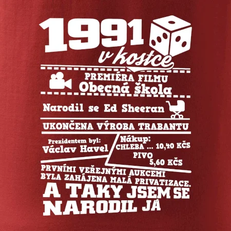 1991 v kostce