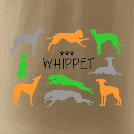 Whippet barevný