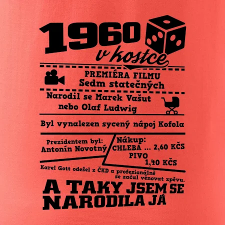 1960 v kostce
