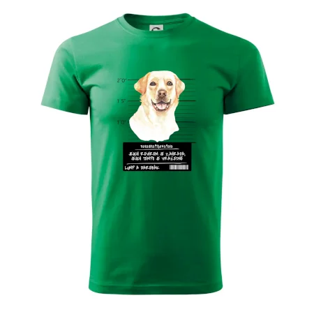 Lump a darebák labrador