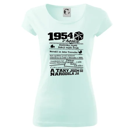 1954 v kostce
