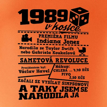 1989 v kostce