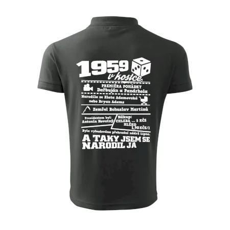 1959 v kostce