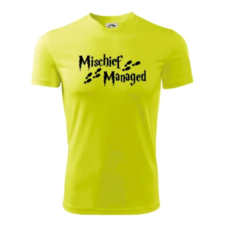 Harry - Mischief Managed