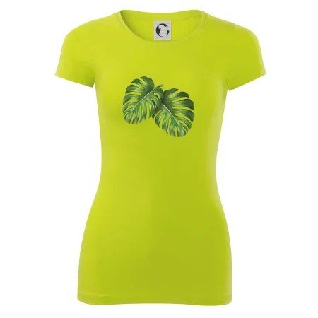 Monstera - dva listy