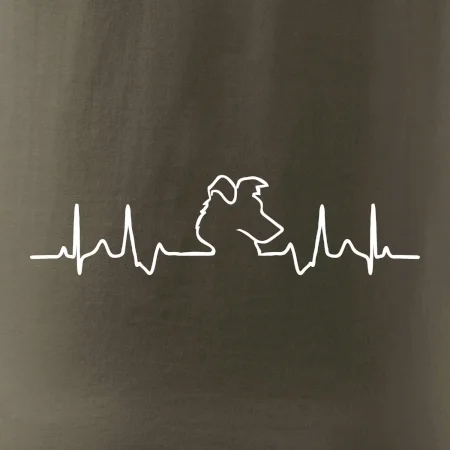 Border kolie EKG
