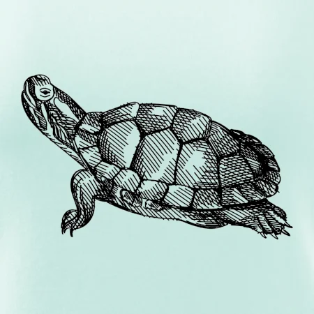 Tužkou kreslená želva