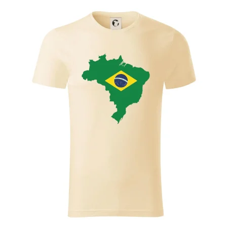 Brazílie vlajka v mapě