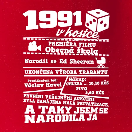 1991 v kostce