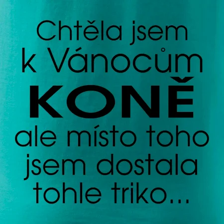 Chtěla jsem k Vánocům koně