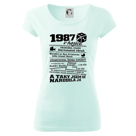 1987 v kostce