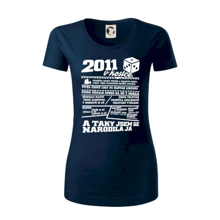 2011 v kostce