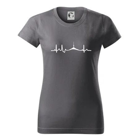 Ekg Jeseníky