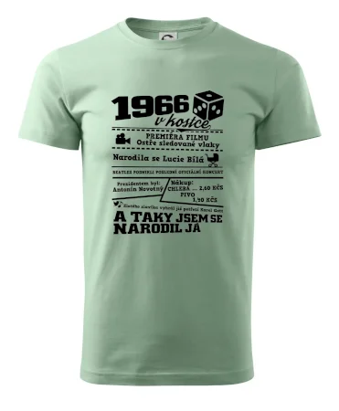 1966 v kostce