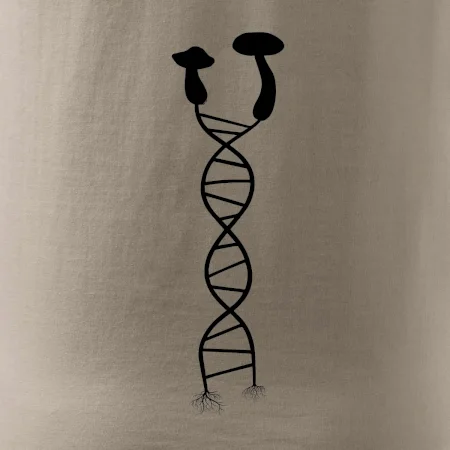 DNA houby