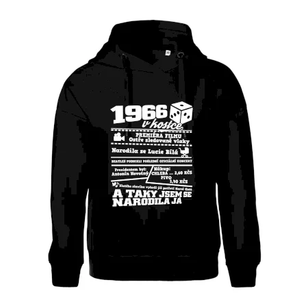 1966 v kostce