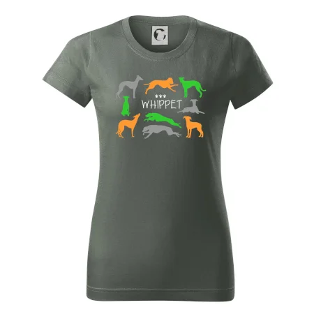 Whippet barevný