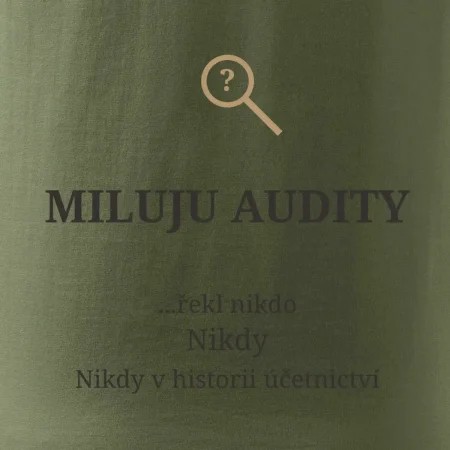Miluju audity řekl nikdo nikdy