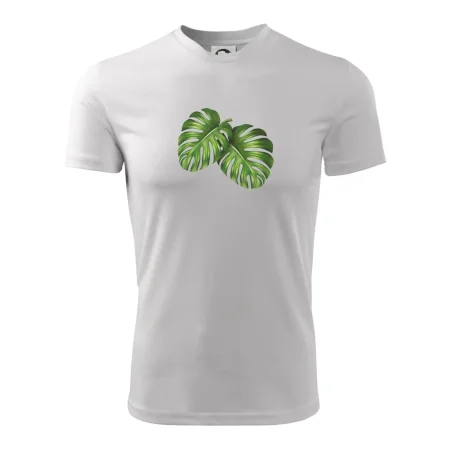 Monstera - dva listy
