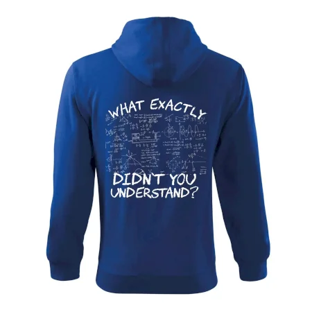 What exactly didnt you understand - physics