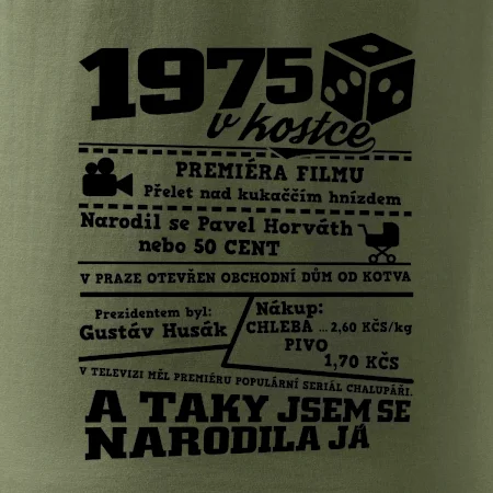 1975 v kostce