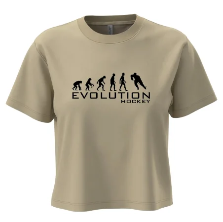 Evoluce Hockey - hráč