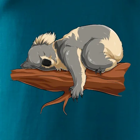 Koala na větvi