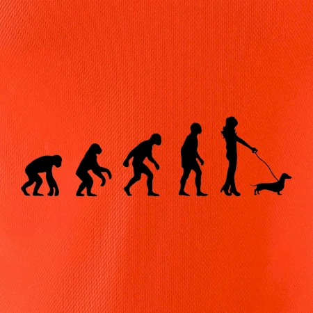 Jezevčík Evoluce žena