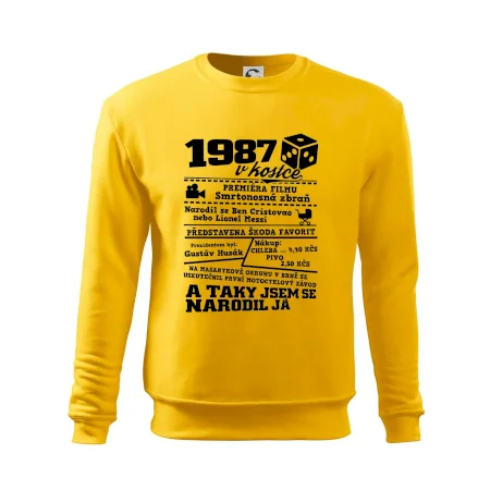 1987 v kostce