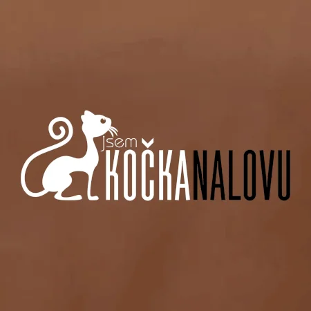 Jsem kočka na lovu