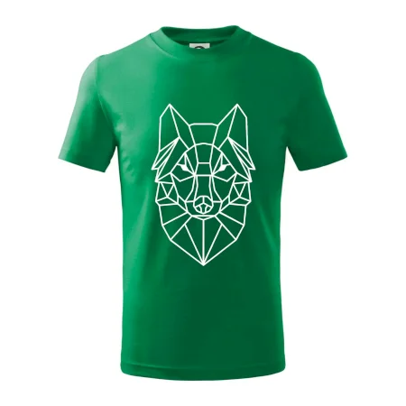 Geometrie - vlk