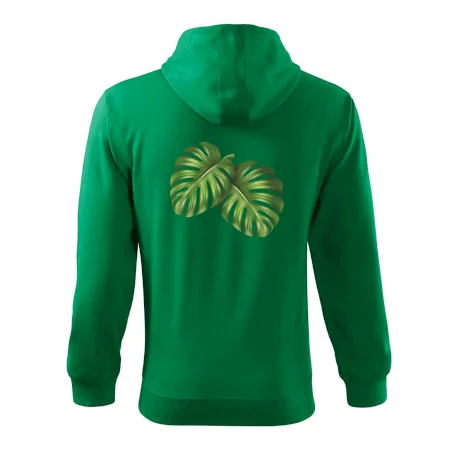 Monstera - dva listy