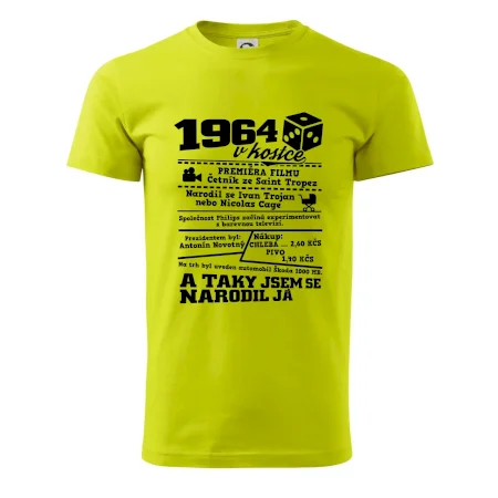 1964 v kostce