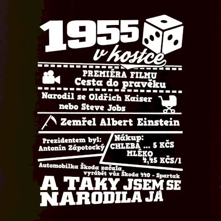 1955 v kostce