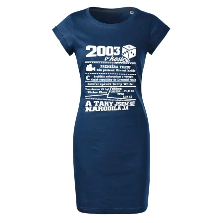 2003 v kostce