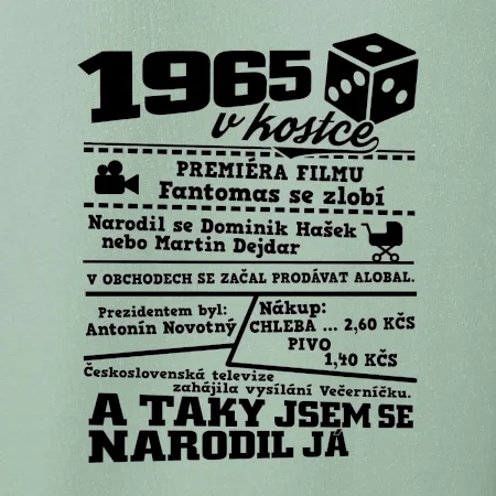 1965 v kostce