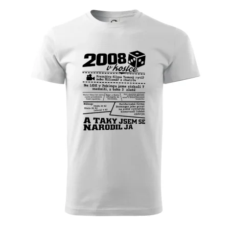 2008 v kostce
