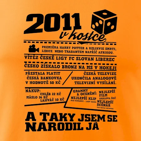 2011 v kostce