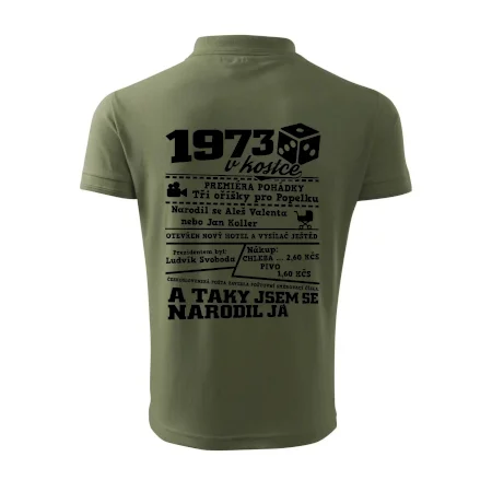 1973 v kostce
