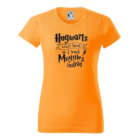 Harry - Hogwarts wasn’t hiring, so I teach Muggles instead