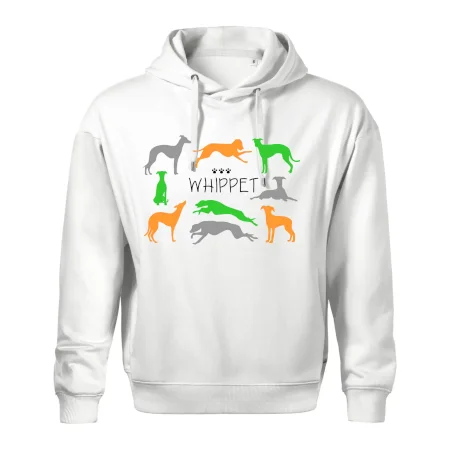 Whippet barevný