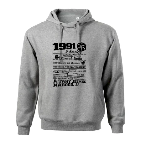 1991 v kostce