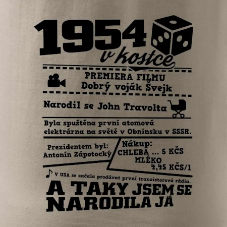 1954 v kostce