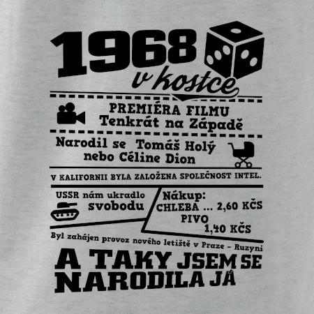 1968 v kostce