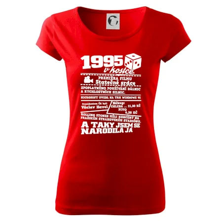 1995 v kostce