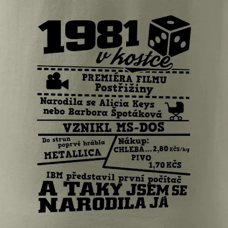 1981 v kostce