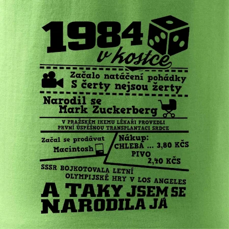 1984 v kostce