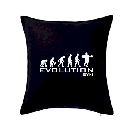 Evoluce Gym
