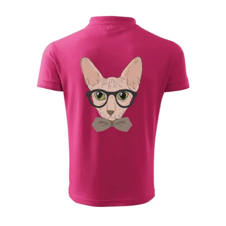 Hipster sphynx