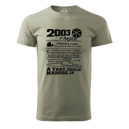 2003 v kostce